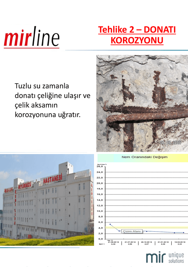 Mirline Presentation